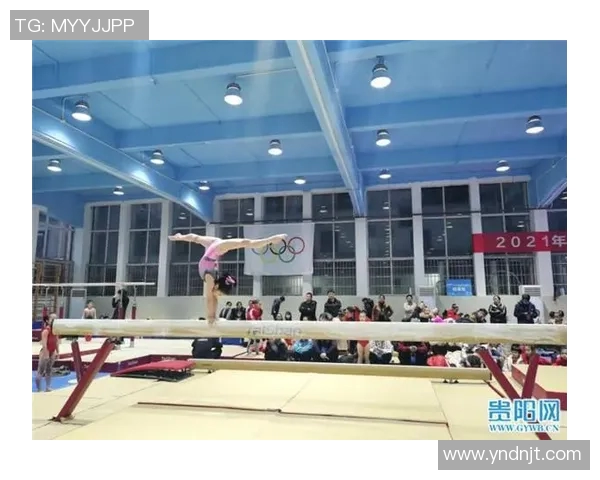 竞技体操C级水平发展现状与未来趋势分析及提升策略探讨