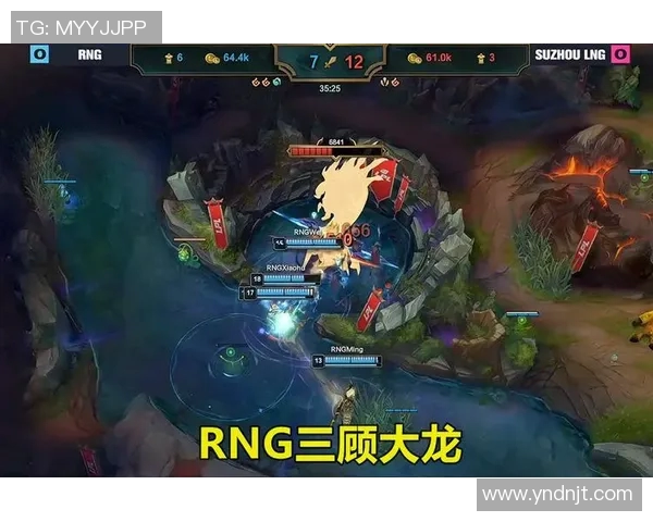 赛后分析：RNG与LNG在比赛中的团队协作与战术执行探讨