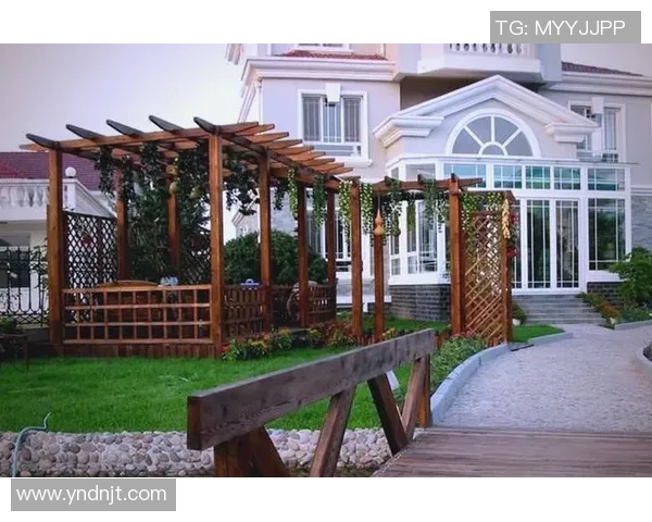 防腐木材的优势与应用探索：提升户外建筑耐久性与美观性